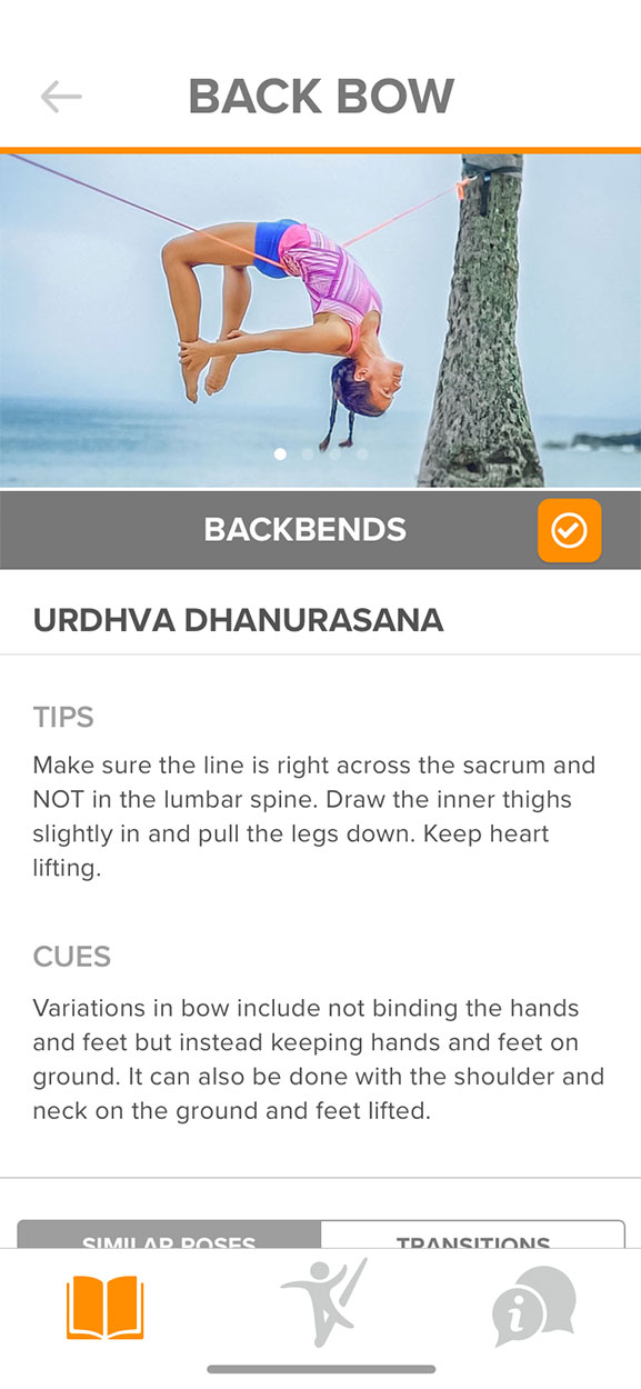 Lindblad_YS_Rev_Backbow_01