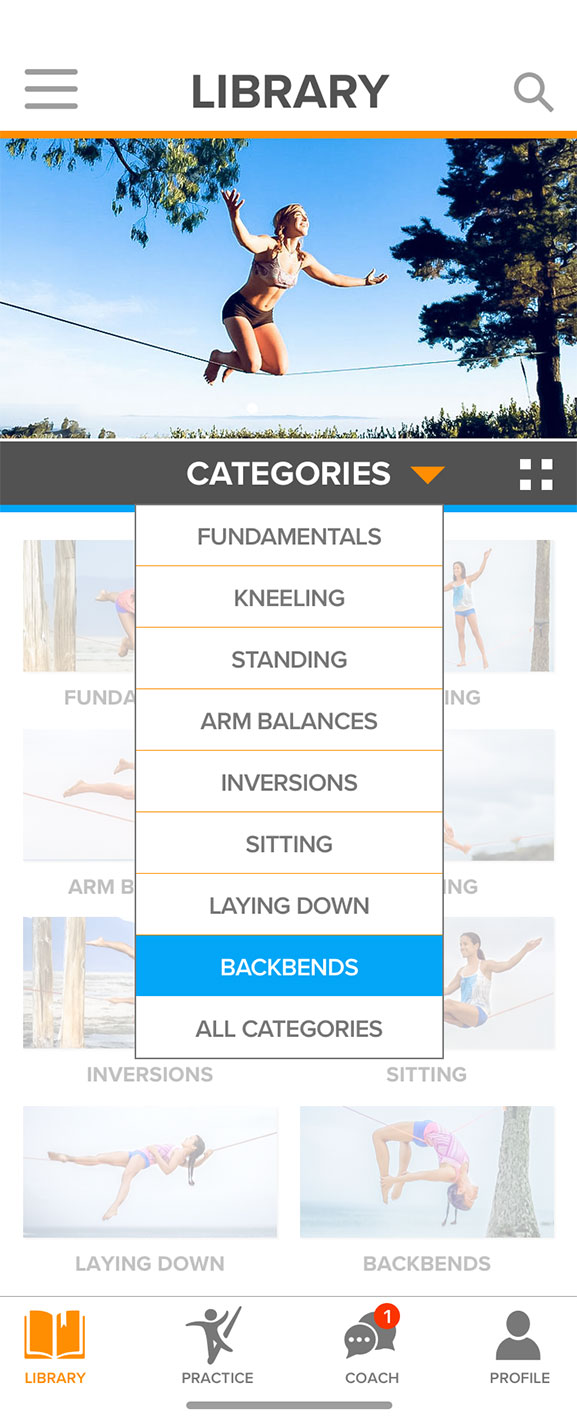 Lindblad_YS_Rev_Library_02