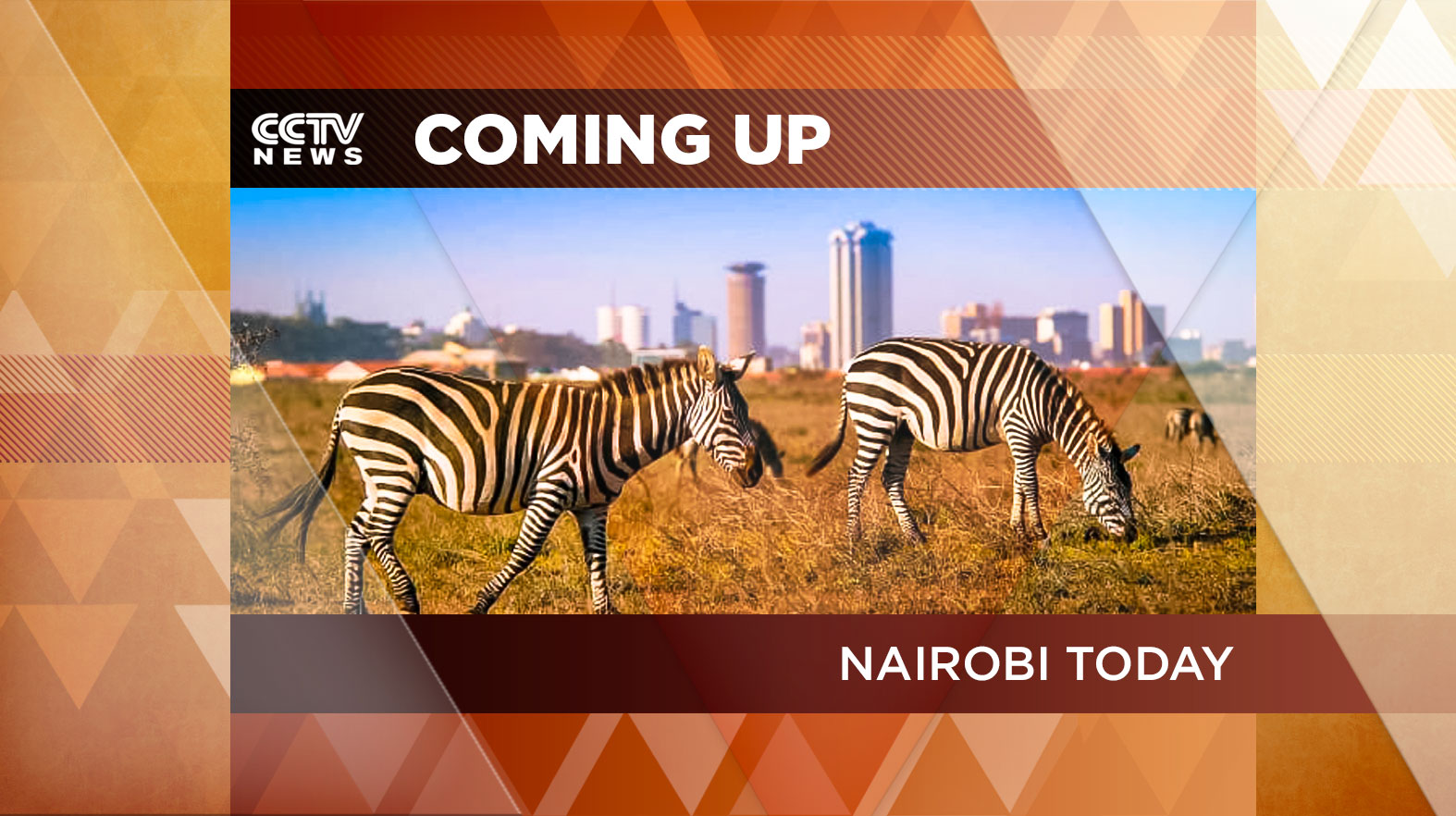 CCTV_Nairobi_Graphics_01