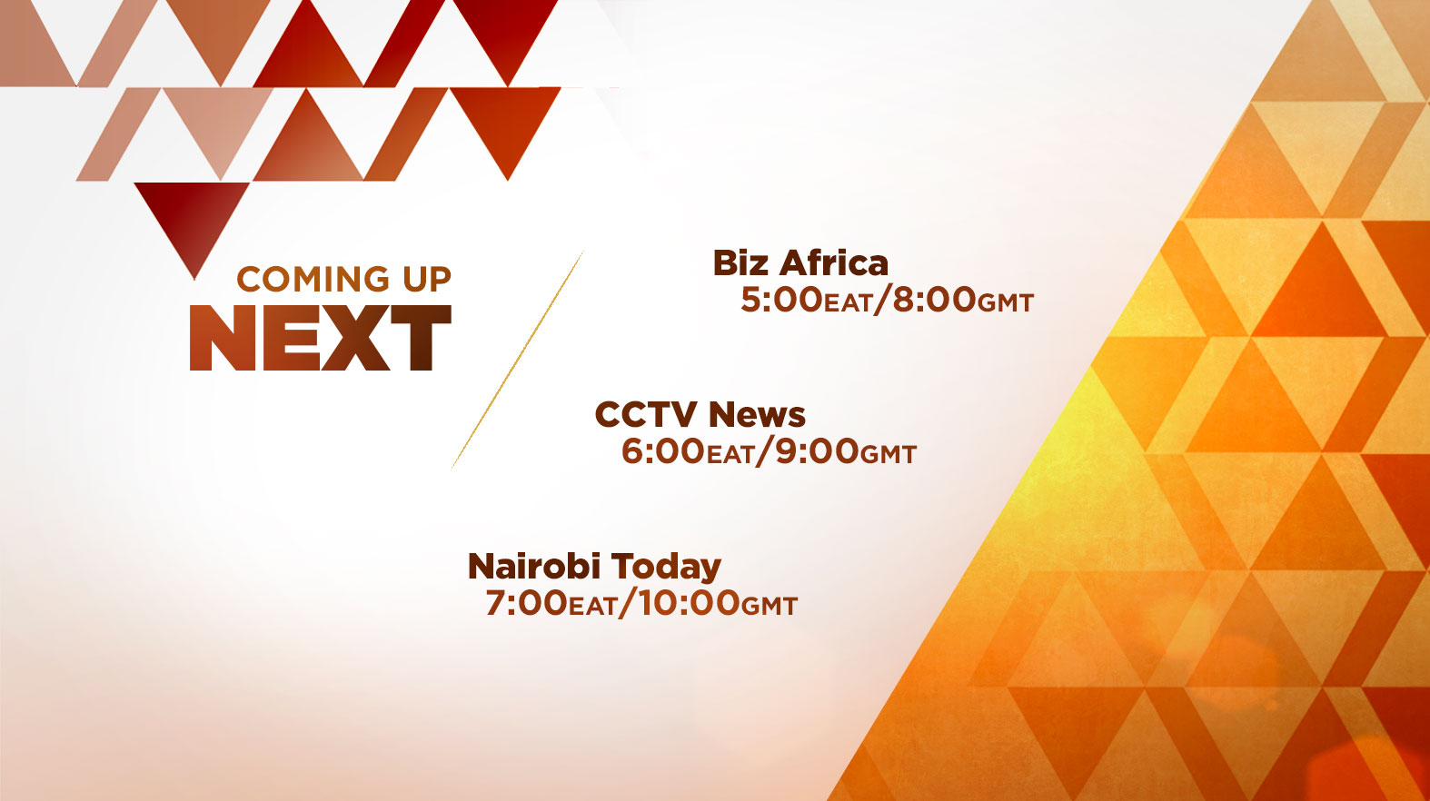 CCTV_Nairobi_Graphics_02